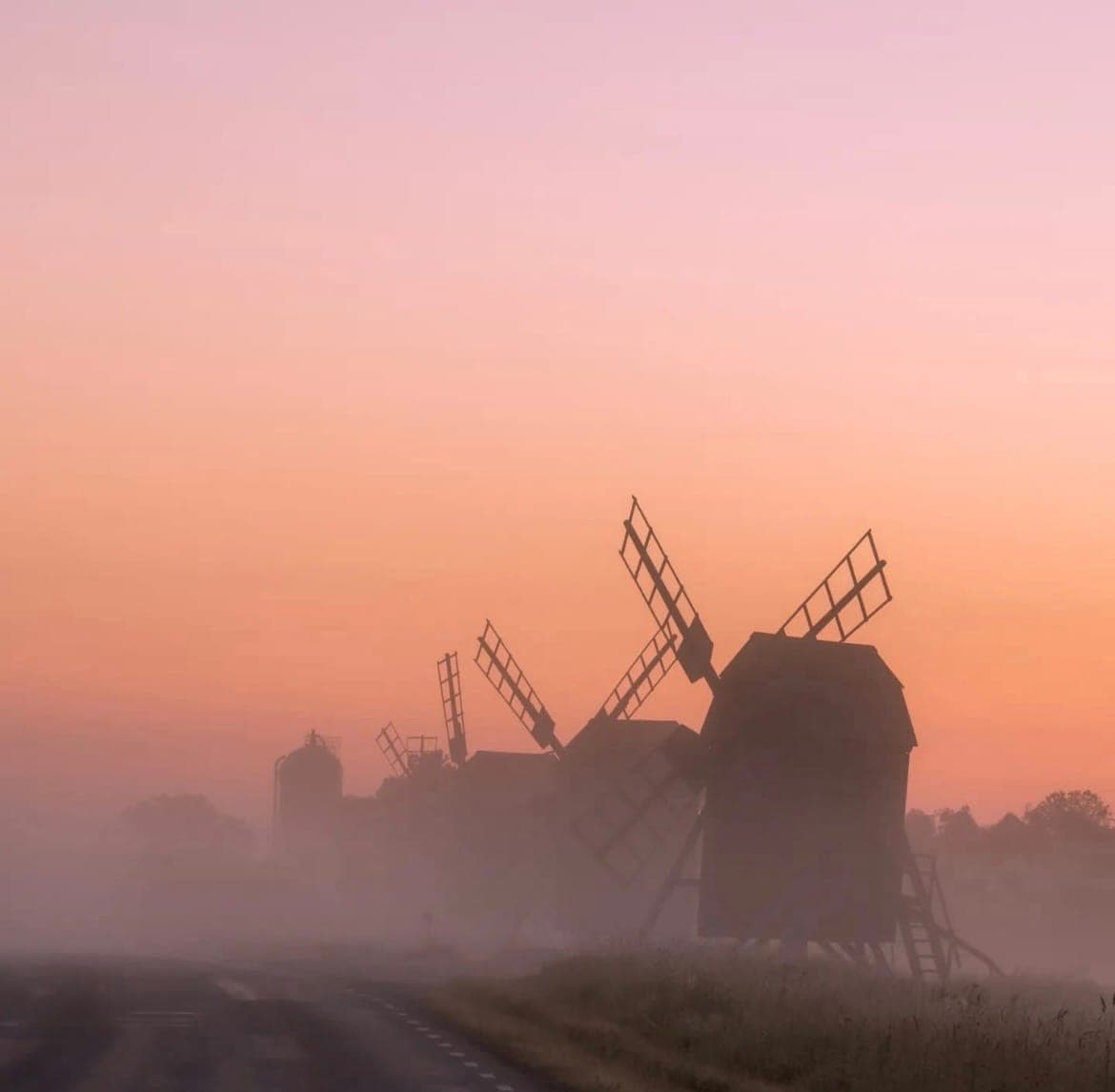 Öländska kvarnar i morgondimma