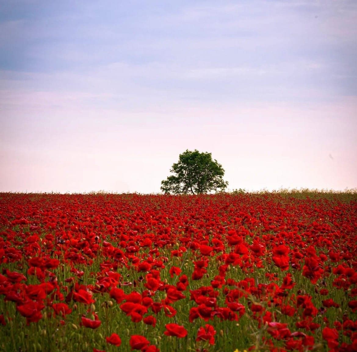 Massage - avslappning och välmående